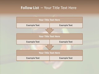 Big Hiding Green PowerPoint Template