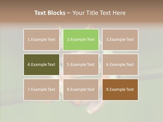 Big Hiding Green PowerPoint Template