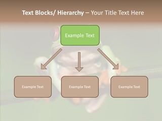 Big Hiding Green PowerPoint Template