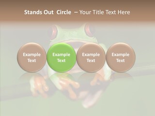 Big Hiding Green PowerPoint Template