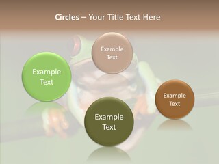Big Hiding Green PowerPoint Template