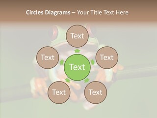 Big Hiding Green PowerPoint Template