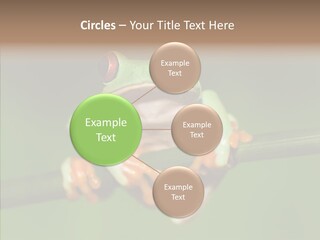 Big Hiding Green PowerPoint Template