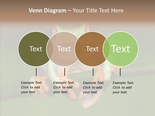 Big Hiding Green PowerPoint Template