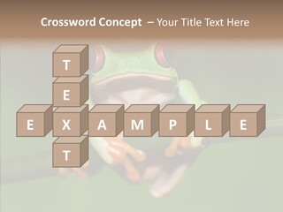 Big Hiding Green PowerPoint Template
