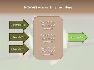 Big Hiding Green PowerPoint Template