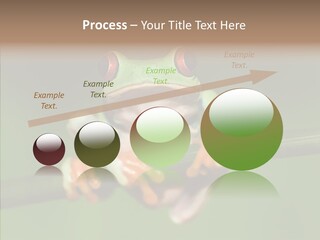 Big Hiding Green PowerPoint Template
