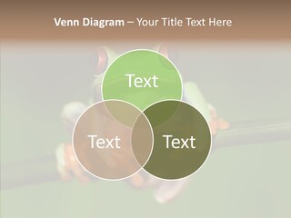 Big Hiding Green PowerPoint Template
