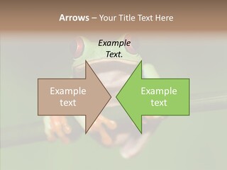 Big Hiding Green PowerPoint Template