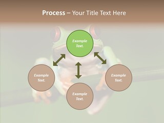 Big Hiding Green PowerPoint Template