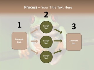 Big Hiding Green PowerPoint Template