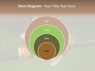 Big Hiding Green PowerPoint Template