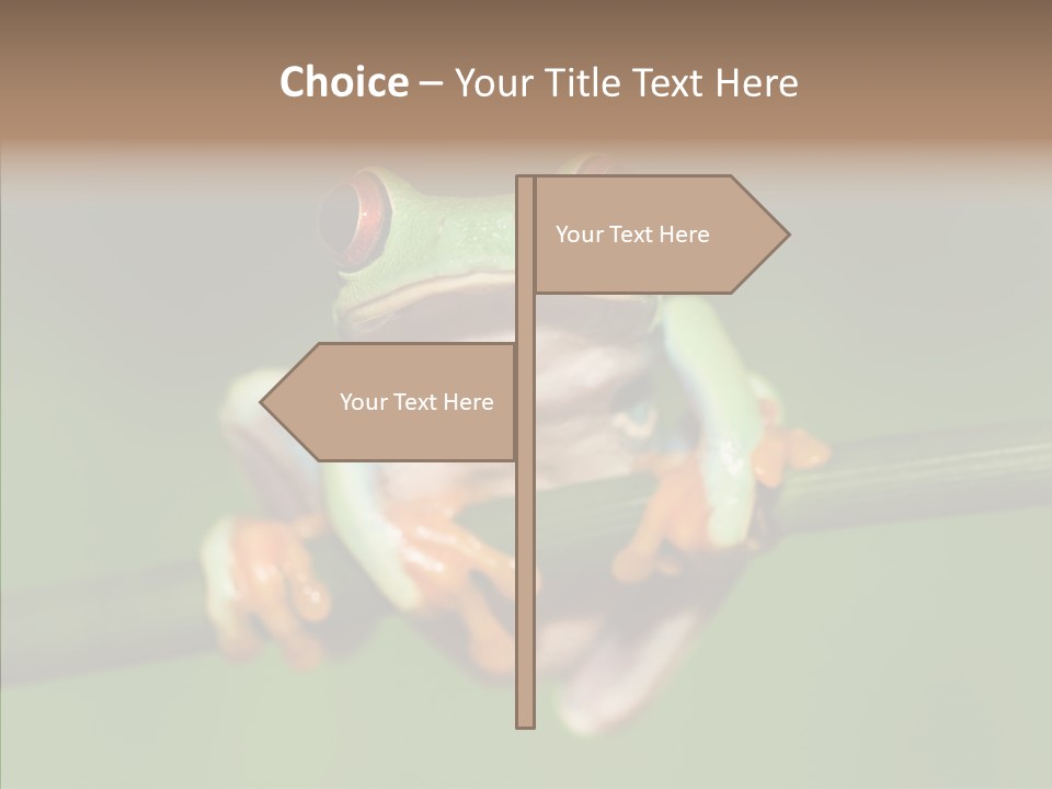 Big Hiding Green PowerPoint Template