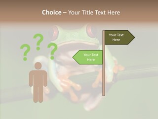 Big Hiding Green PowerPoint Template