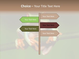 Big Hiding Green PowerPoint Template
