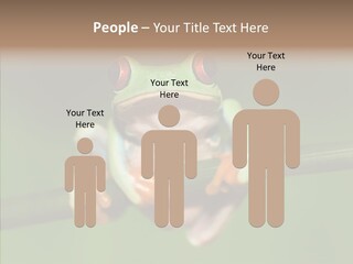 Big Hiding Green PowerPoint Template