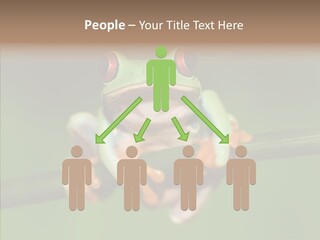 Big Hiding Green PowerPoint Template