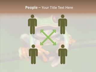 Big Hiding Green PowerPoint Template
