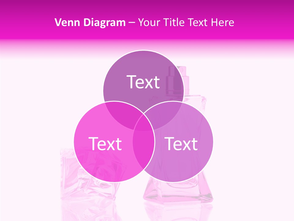 Colored Romantic Elegance PowerPoint Template