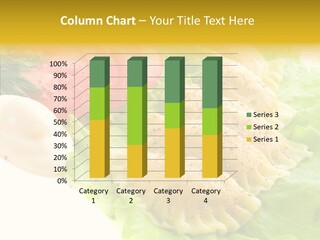 Pelmeni Meat Siberian PowerPoint Template