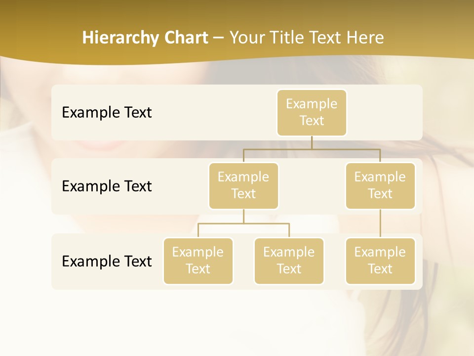 Character Di Cu Ion Meeting PowerPoint Template