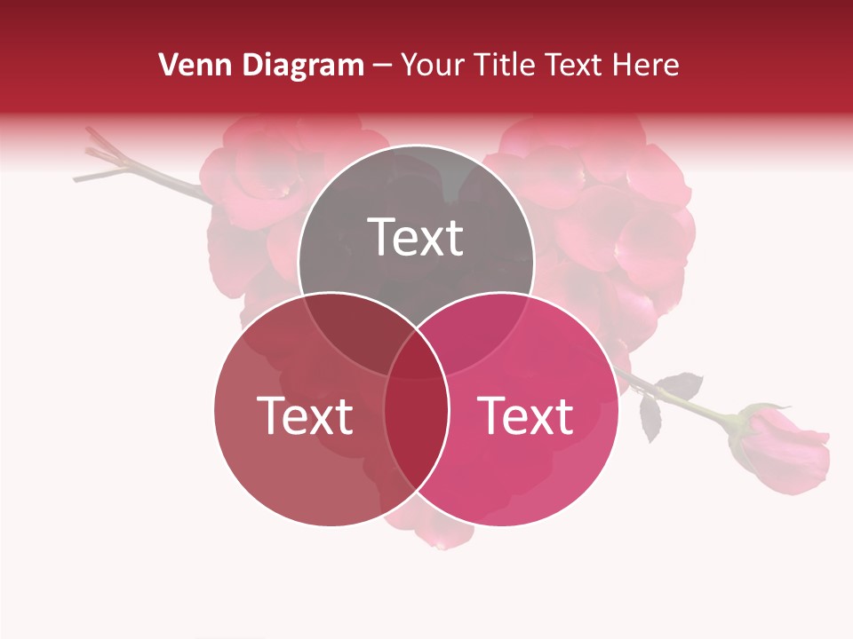 Greet White Beauty PowerPoint Template