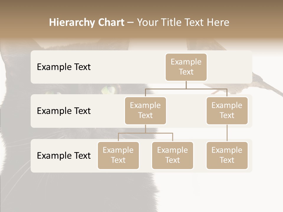 Wild Life Halloween PowerPoint Template