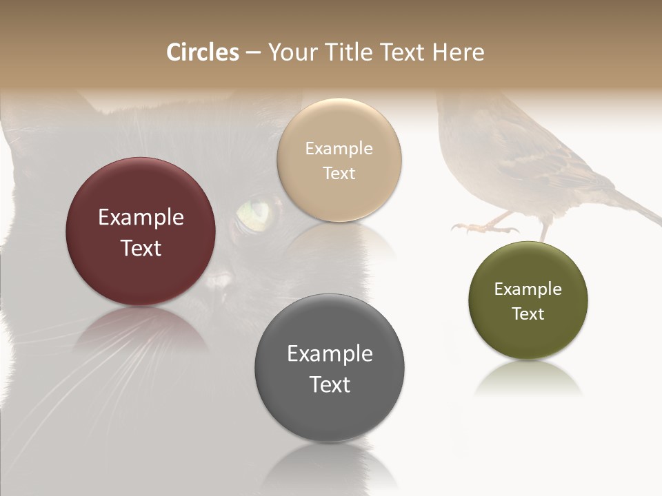 Wild Life Halloween PowerPoint Template