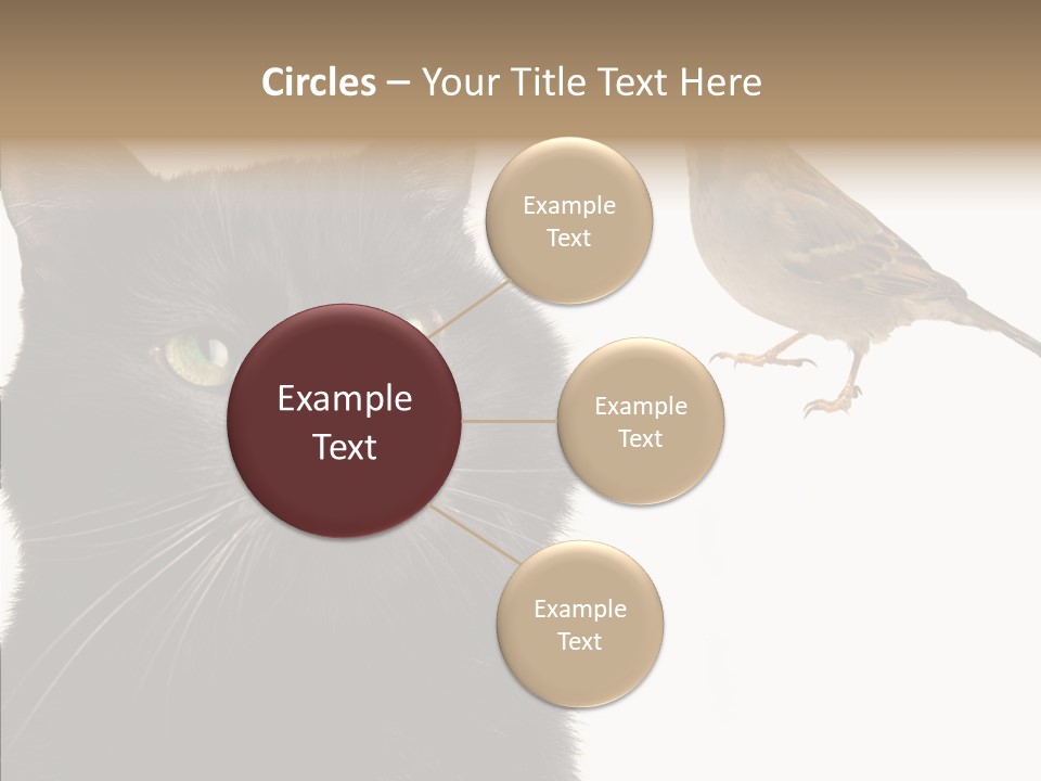 Wild Life Halloween PowerPoint Template