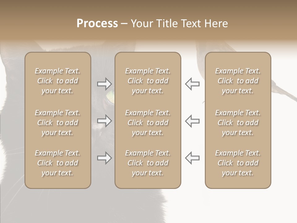 Wild Life Halloween PowerPoint Template