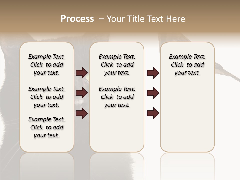 Wild Life Halloween PowerPoint Template