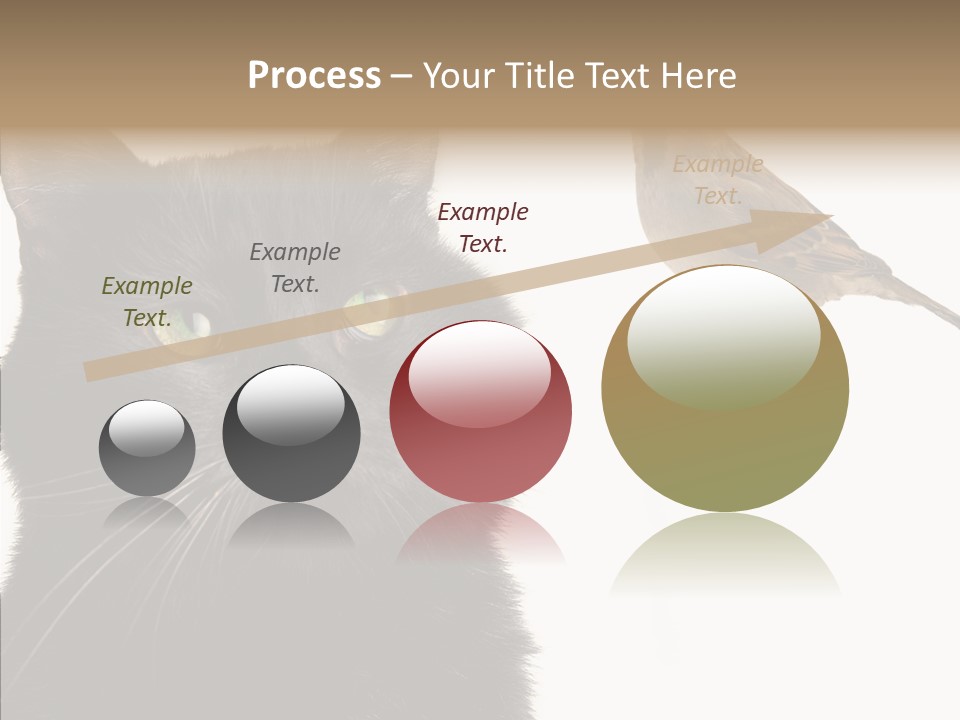 Wild Life Halloween PowerPoint Template