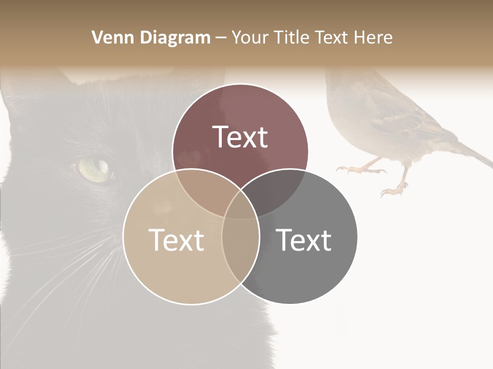 Wild Life Halloween PowerPoint Template