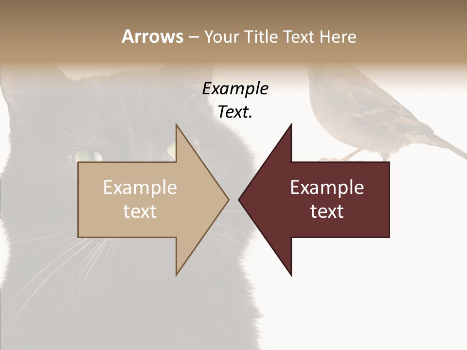 Wild Life Halloween PowerPoint Template