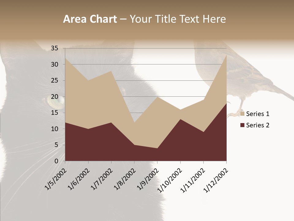 Wild Life Halloween PowerPoint Template