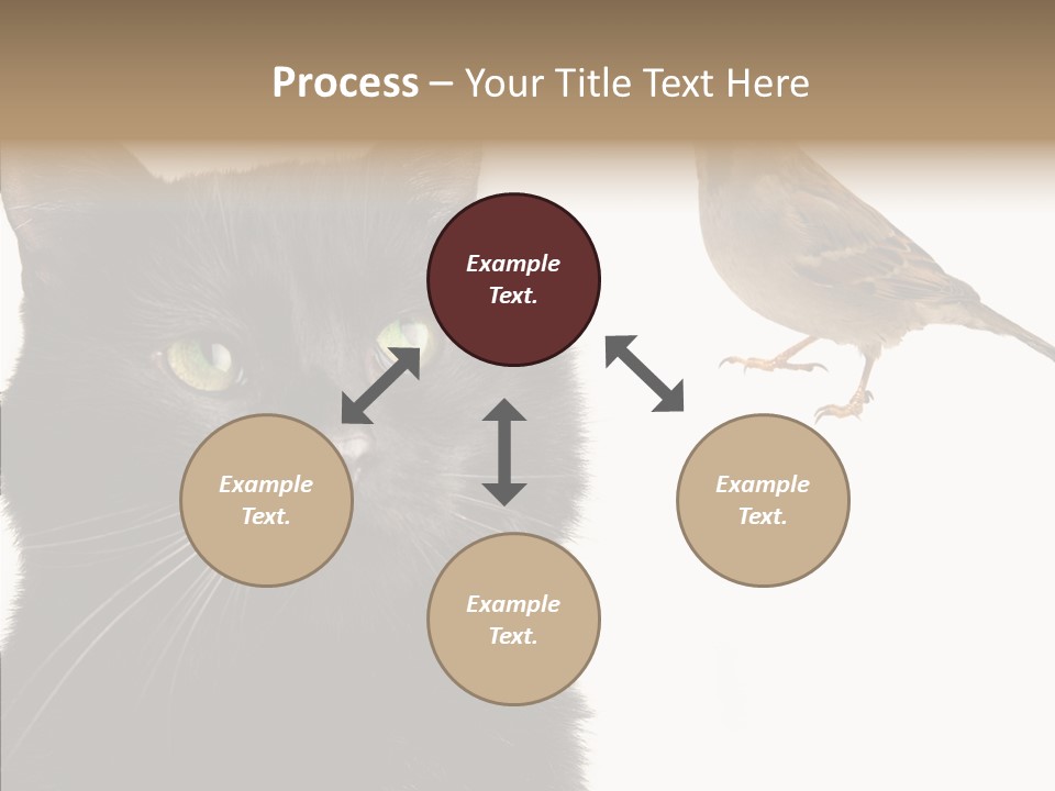 Wild Life Halloween PowerPoint Template