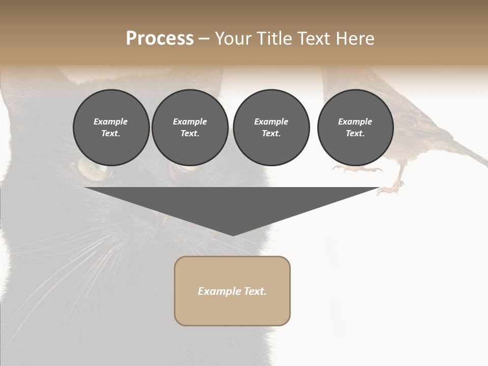 Wild Life Halloween PowerPoint Template