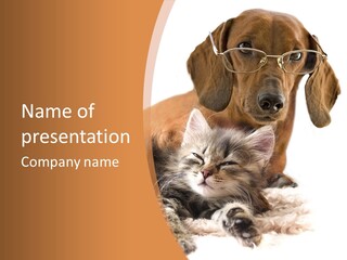 Kitten Rate Friends PowerPoint Template