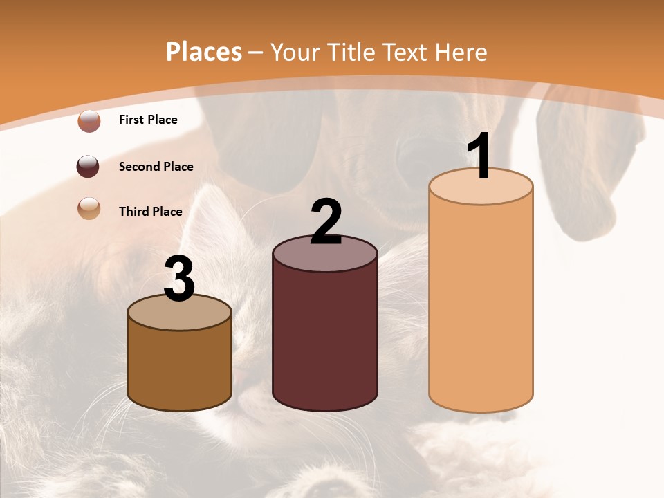 Kitten Rate Friends PowerPoint Template