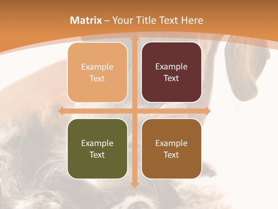 Kitten Rate Friends PowerPoint Template