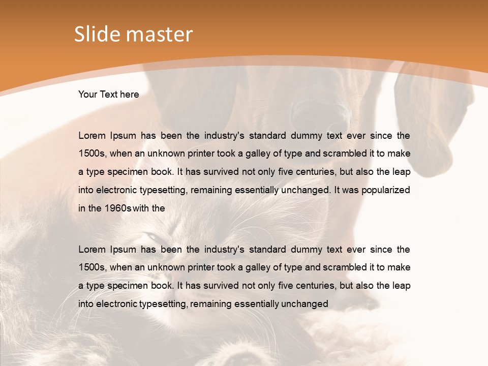 Kitten Rate Friends PowerPoint Template