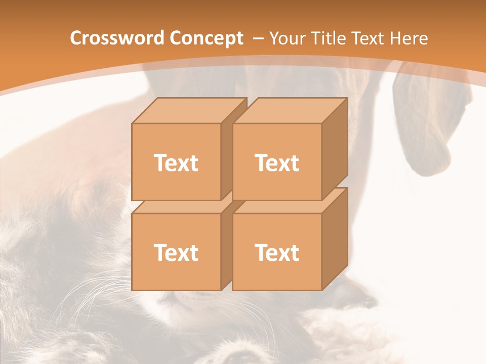 Kitten Rate Friends PowerPoint Template