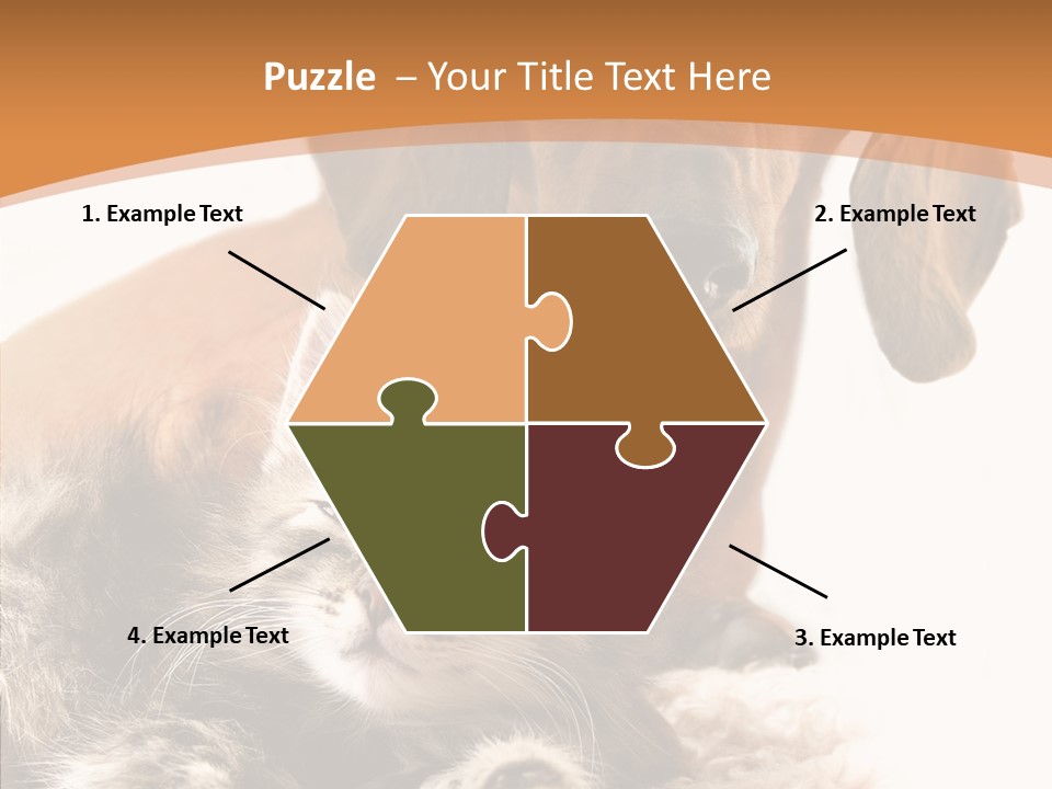 Kitten Rate Friends PowerPoint Template