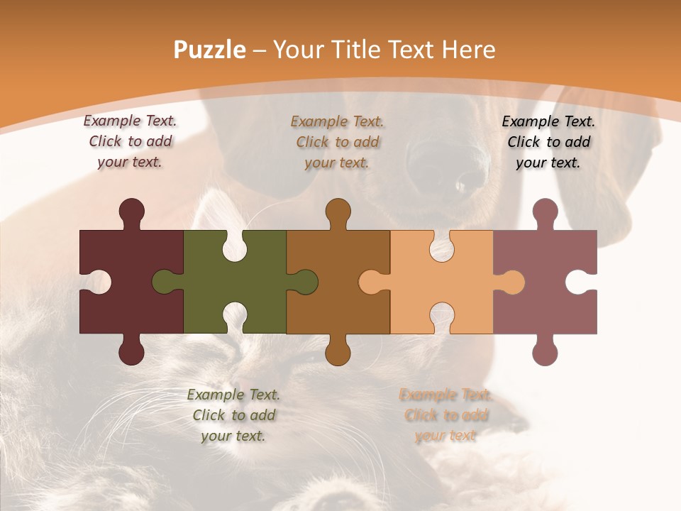 Kitten Rate Friends PowerPoint Template