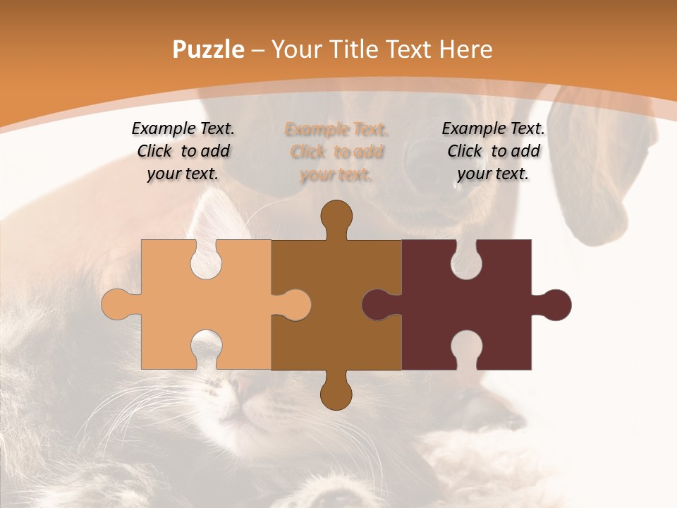 Kitten Rate Friends PowerPoint Template