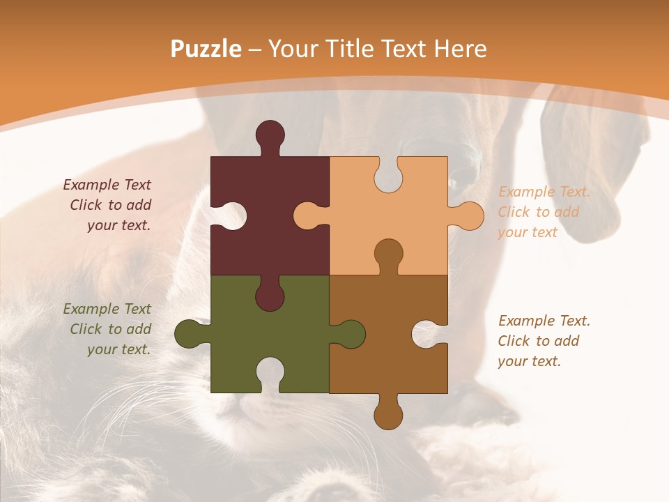 Kitten Rate Friends PowerPoint Template