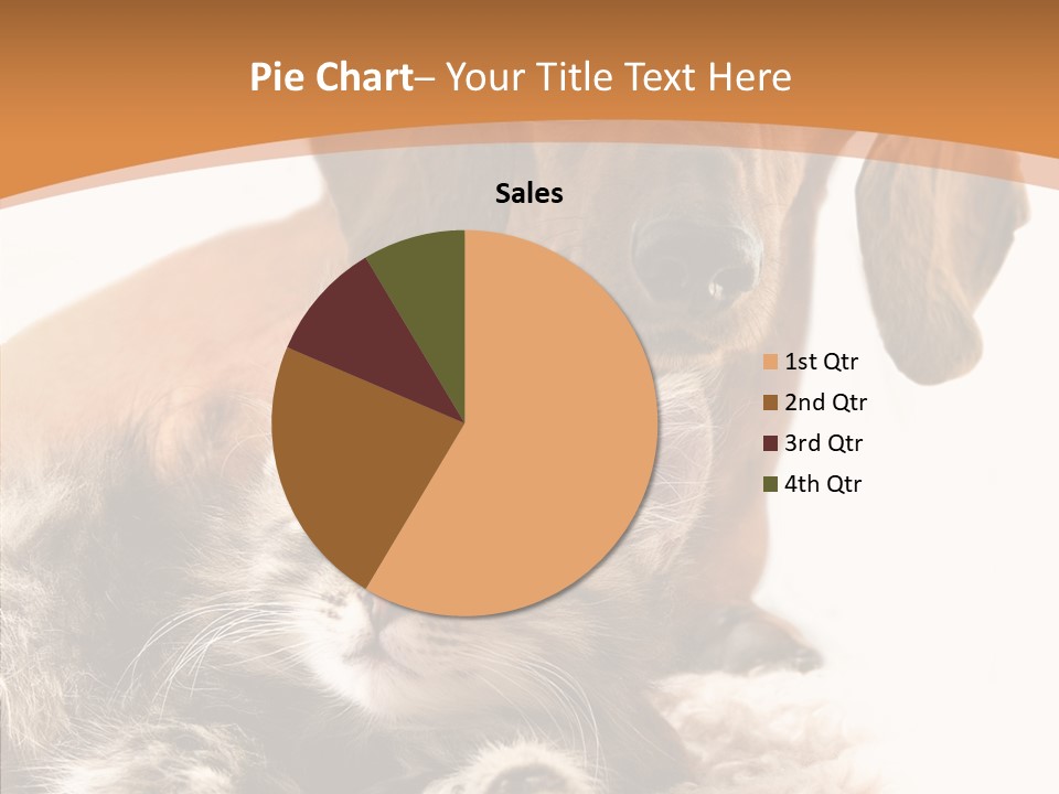 Kitten Rate Friends PowerPoint Template