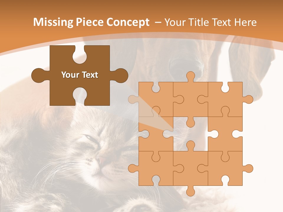 Kitten Rate Friends PowerPoint Template