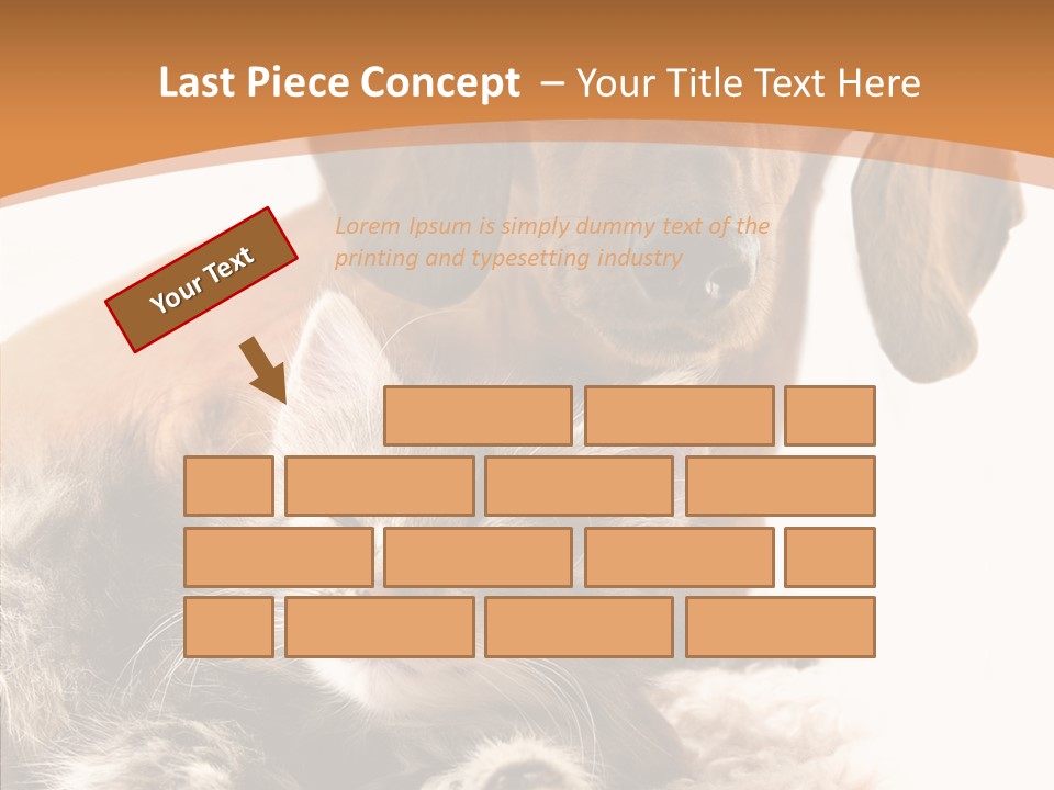 Kitten Rate Friends PowerPoint Template