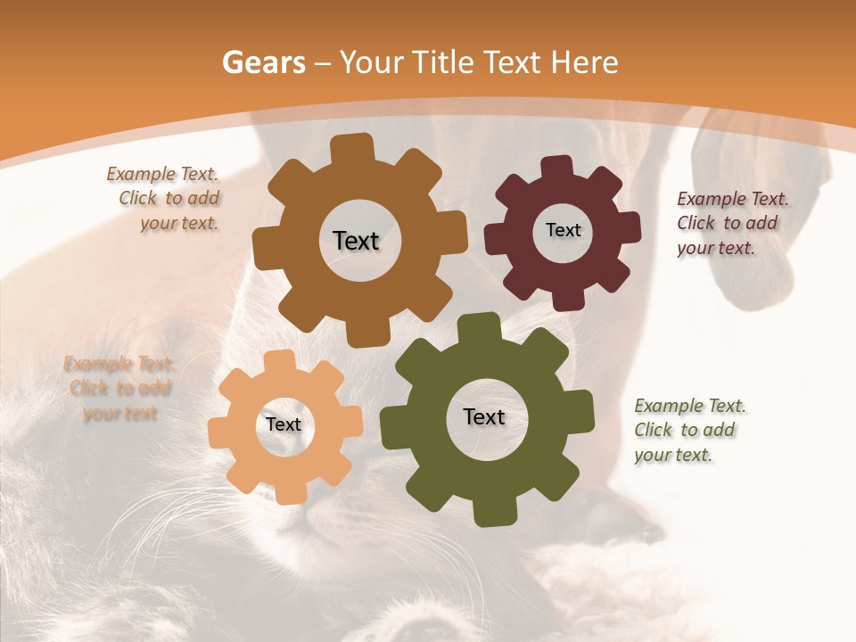 Kitten Rate Friends PowerPoint Template